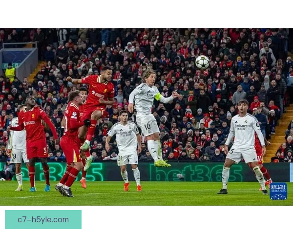 欧冠皇马复仇本菲卡维尼修斯制胜